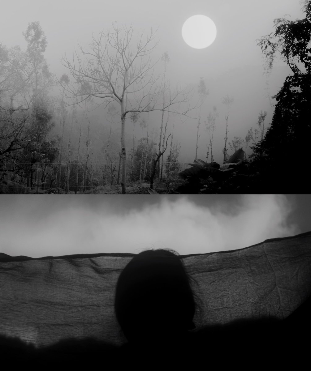 canvasoul_'s tweet photo. diptychs of disquiet https://t.co/8CxqeDVhMD