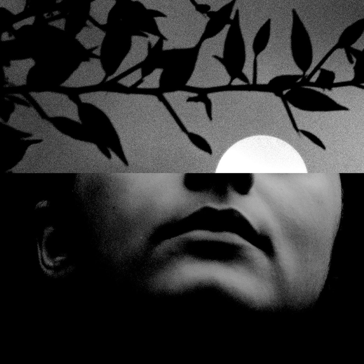 canvasoul_'s tweet photo. diptychs of disquiet https://t.co/8CxqeDVhMD