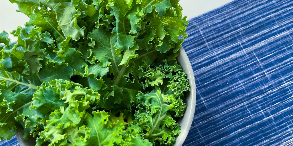 freshboxfarms's tweet photo. We want to know where YOU buy #FreshBoxFarms ποΈ Retweet us and tag or hashtag your local retailer! #ShopLocal #MillisMA #Boston #Cambridge #LeafyGreens #HealthyFood #Hydroponics #BostonFood #FoodofBost #BostonFamousFood #BostonLocalFood #BostonTaste #BostonFoodies #BostonEats https://t.co/GUgHvfKq2x