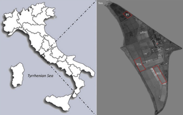 Molecules_MDPI's tweet photo. #HighlyCitedPaper #HighlyAccessedPaper
Spatio-Temporal Variation of the Bacterial Communities along a Salinity Gradient within a Thalassohaline Environment 
By: Massimiliano Fenice, et al.
👉https://t.co/zmPqa3QBxE
📌#bacterialcommunities #communitycomposition https://t.co/WBlH8sYOYA