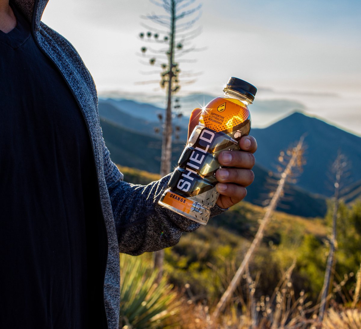 Sword Performance tweet media