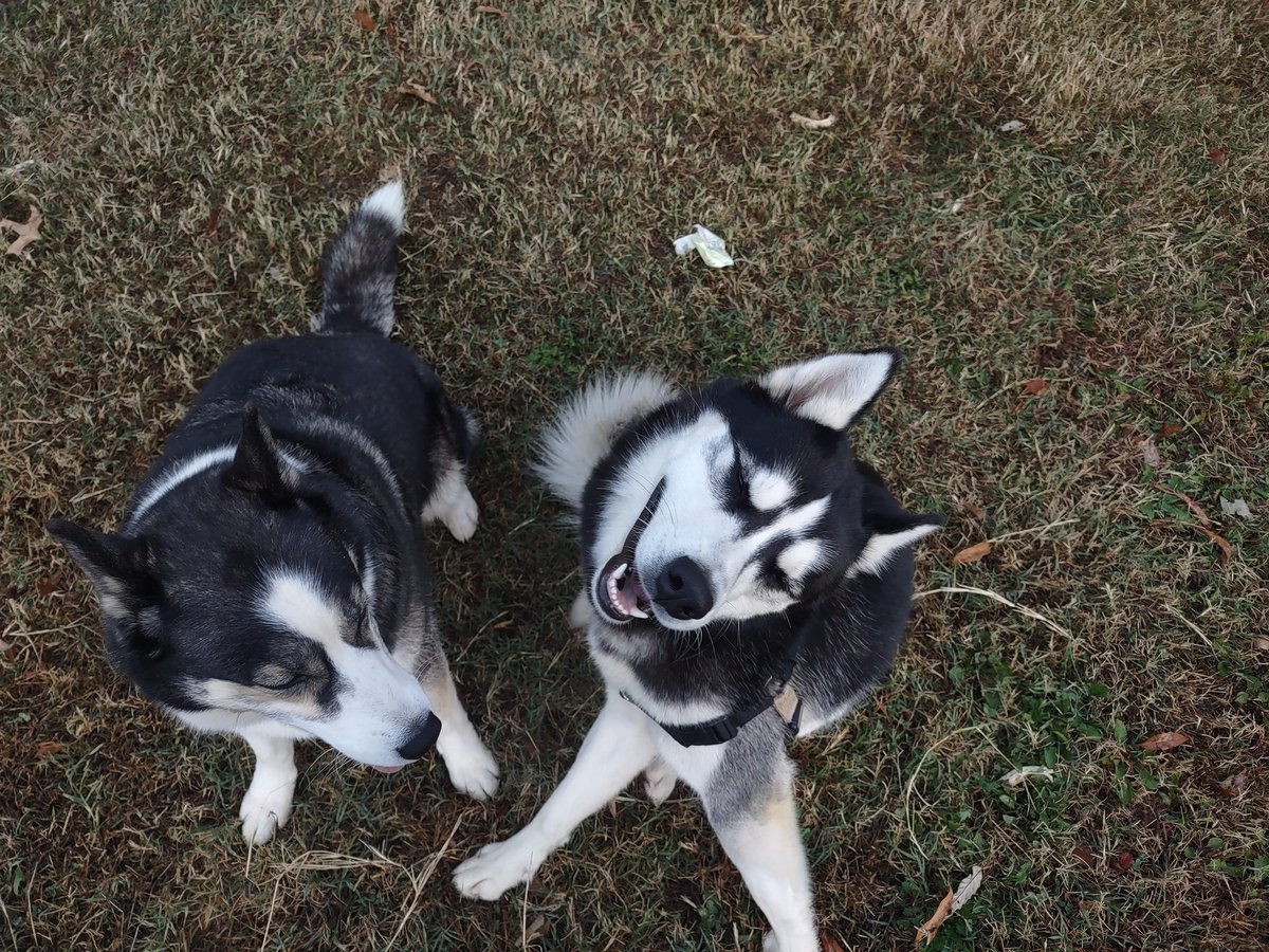 Starting out the day with some loving.