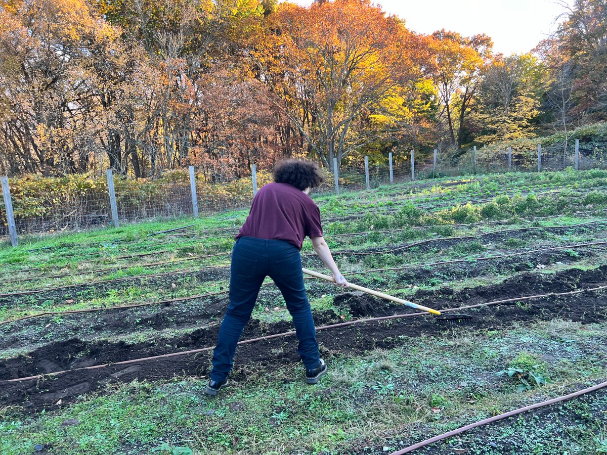 GndwkLawrence's tweet photo. We can't say it enough - volunteers make a critical difference at #CostelloFarm.

From summer to fall to winter, the growing cycle keeps going. Another #YearInTheLife of an urban farm.
#GroundworkLawrence https://t.co/1byzgpdOLh
