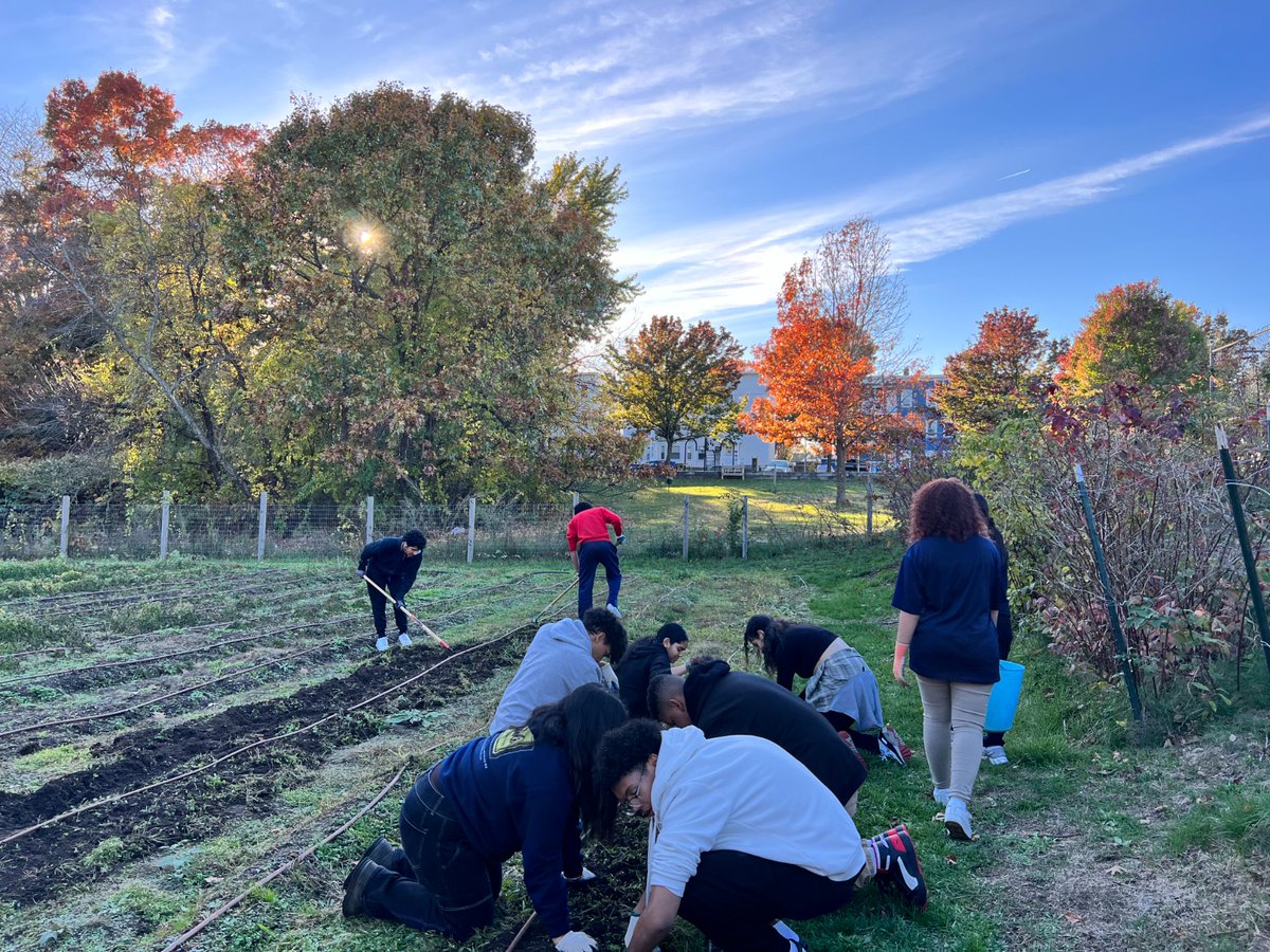 GndwkLawrence's tweet photo. We can't say it enough - volunteers make a critical difference at #CostelloFarm.

From summer to fall to winter, the growing cycle keeps going. Another #YearInTheLife of an urban farm.
#GroundworkLawrence https://t.co/1byzgpdOLh