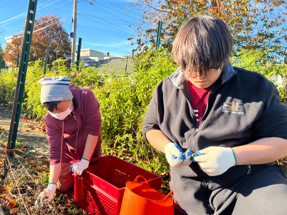 GndwkLawrence's tweet photo. We can't say it enough - volunteers make a critical difference at #CostelloFarm.

From summer to fall to winter, the growing cycle keeps going. Another #YearInTheLife of an urban farm.
#GroundworkLawrence https://t.co/1byzgpdOLh