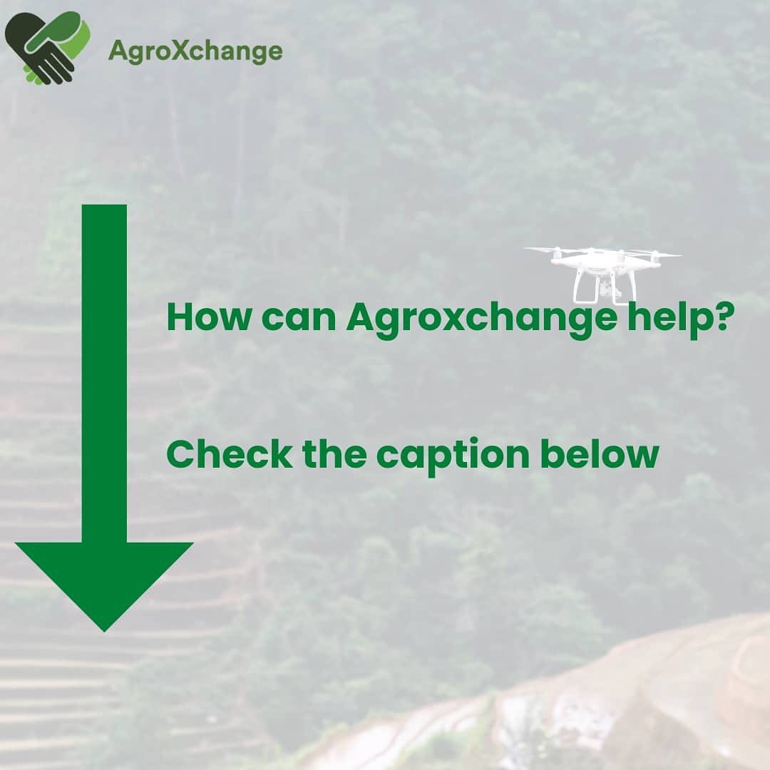 AgroXchange (@agroxchangetech) on Twitter photo <a href="/AgroxchangeTech/">AgroXchange</a> we use satellite date to provide crop health information and monitoring as early warning for farmers to take quick action against dangers, threats and hazards from planting to harvest, in order to boost crop yield <a href="/AgroxchangeTech/">AgroXchange</a> we use satellite date to provide crop health information and monitoring as early warning for farmers to take quick action against dangers, threats and hazards from planting to harvest, in order to boost crop yield