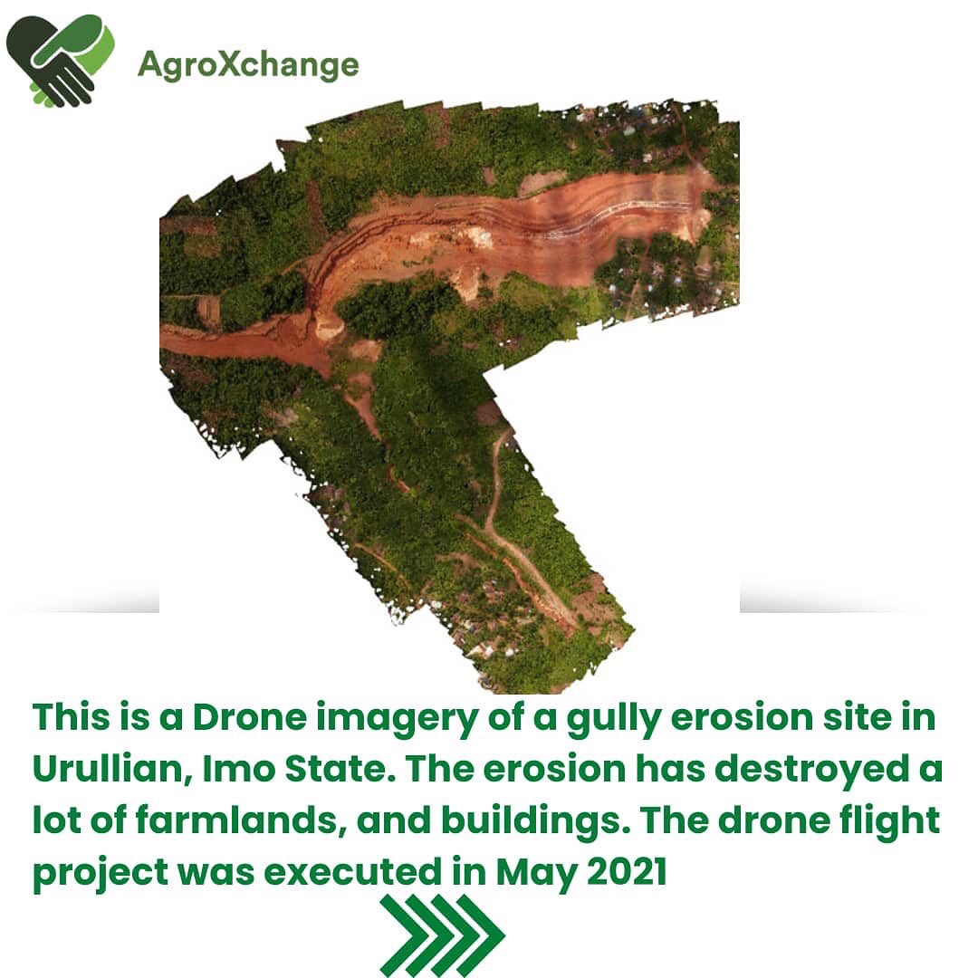 AgroXchange tweet media