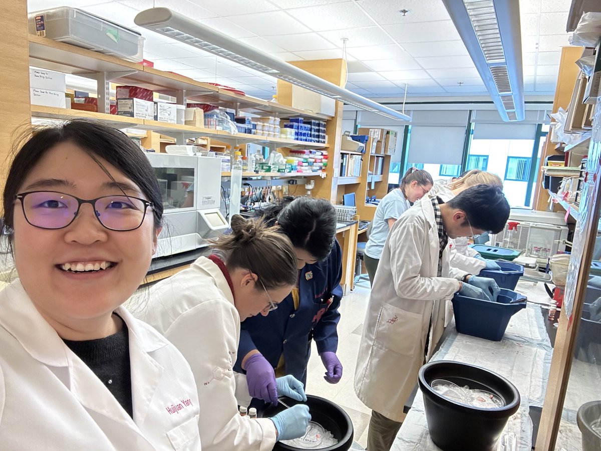 Miller Lab at Dartmouth tweet media