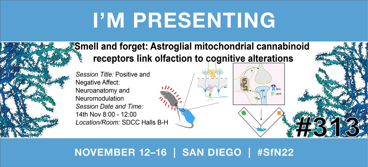 Paula Gómez Sotres tweet media