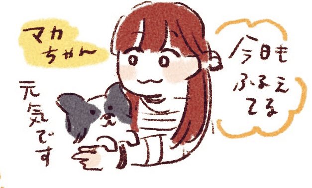 スケッチブック用意してたり、味噌見せてくれるタイム始まったり、マカちゃんの登場させてくれたりめっちゃほっこりした…✌️☺️
#麻帆部屋 