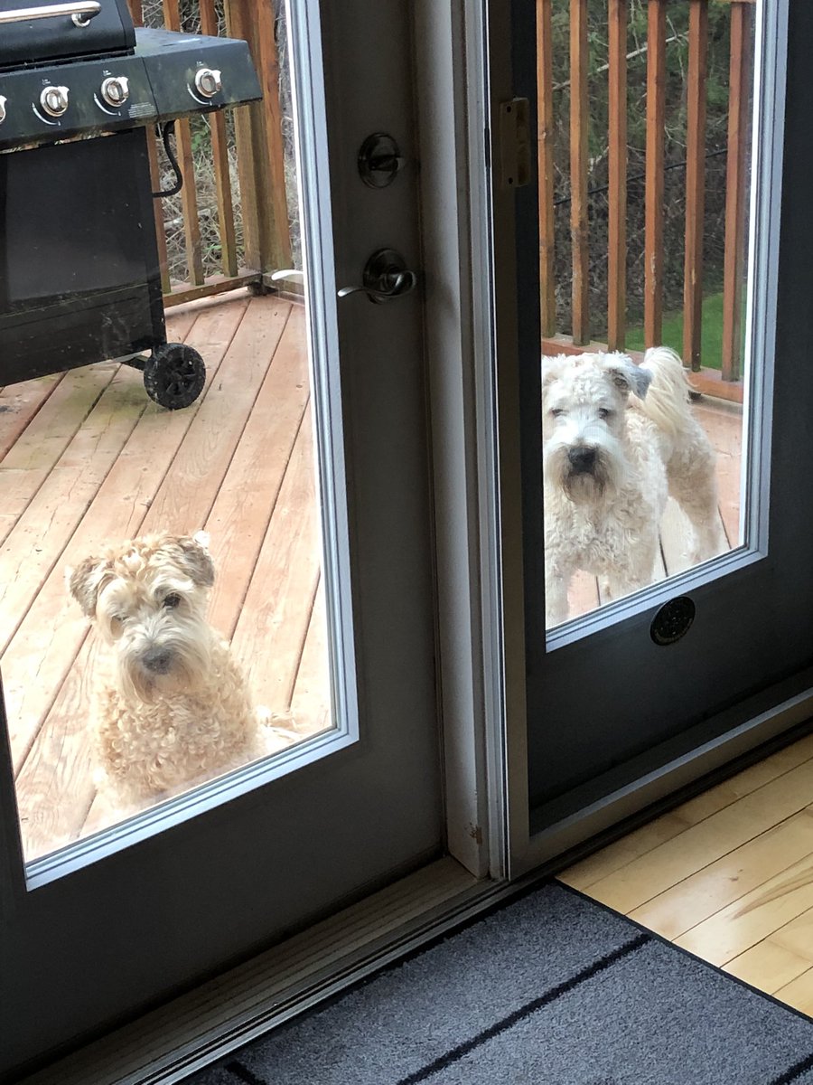 Breakfast ready yet?