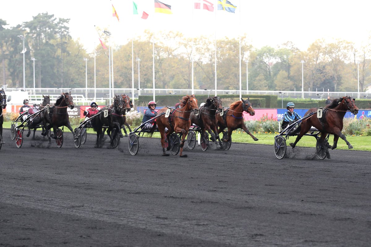 Equidia tweet media