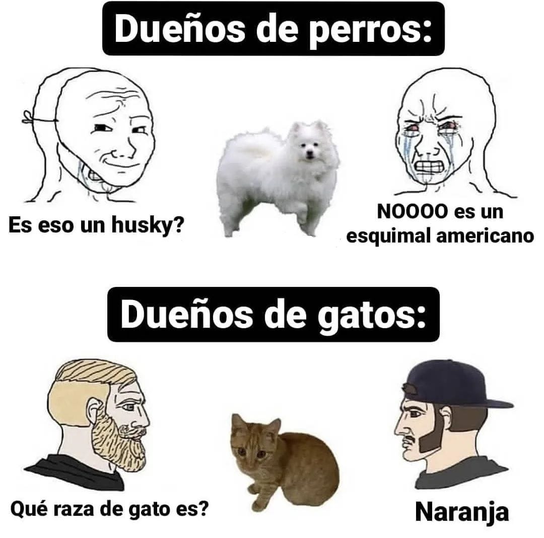 Rolita (@_onerolita) on Twitter photo 