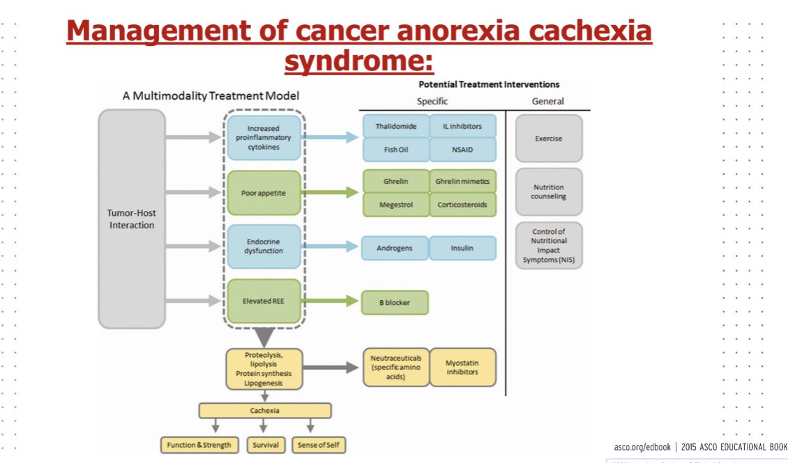 خلال تقديم محاضرة المستجدات عن تغذية مرضى الأورام في دبي🇦🇪

🔴شاركت التوصيات/الأوراق العلمية الحديثة...