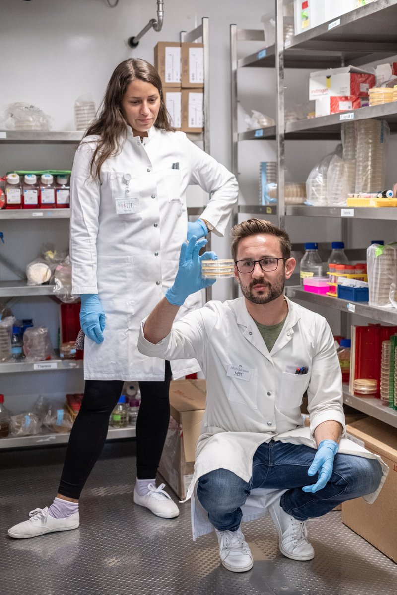 kuenstlerische_tatsachen tweet media