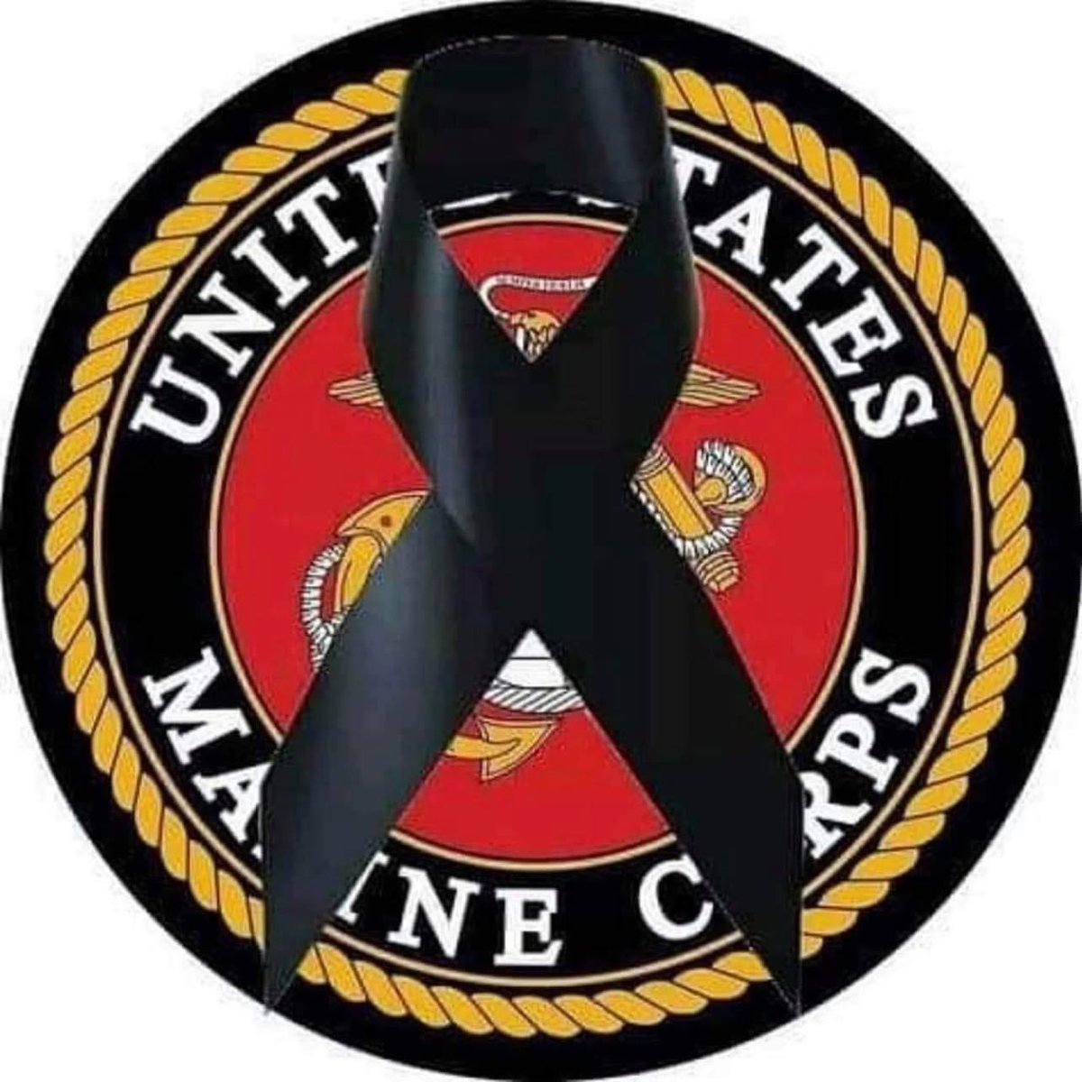 InSequenceInc's tweet photo. Happy Birthday U.S. Marine Corps!
Thank you for your service, sacrifice, and support these past 247 years! https://t.co/J2hMGXiAYM