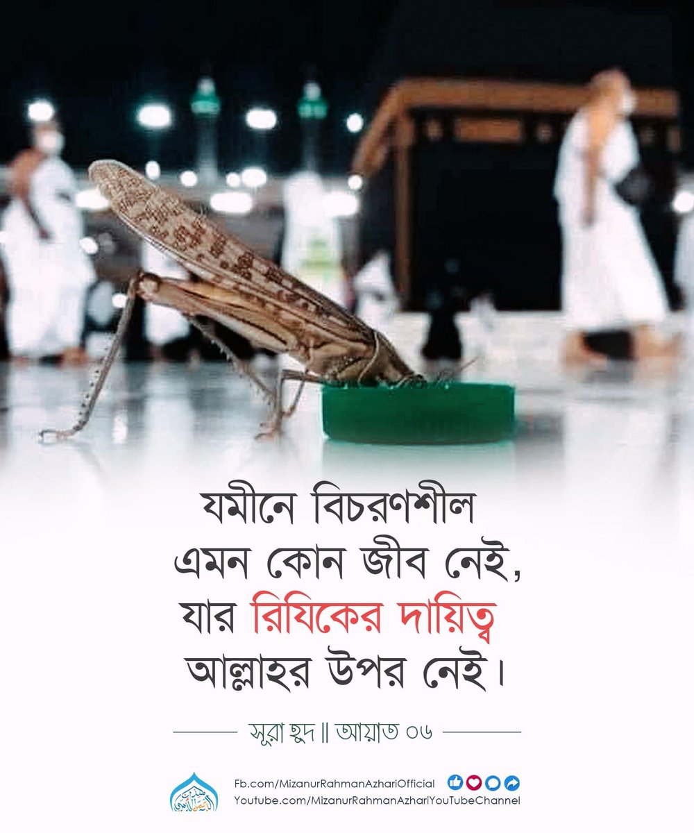 Mehedi Hasan (@mehedih75386089) on Twitter photo 