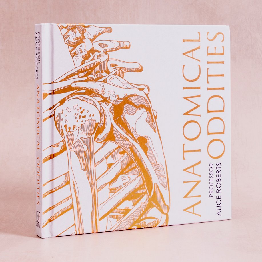 Simon & Schuster UK tweet media