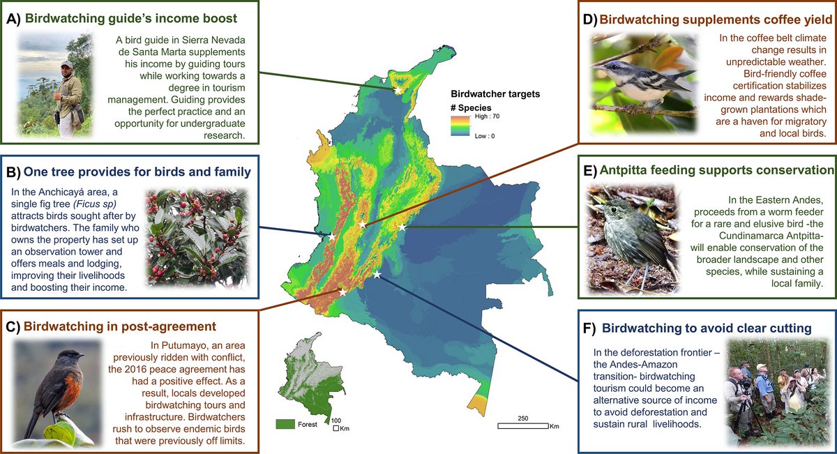 Ruben Dario Palacio, Ph.D. tweet media