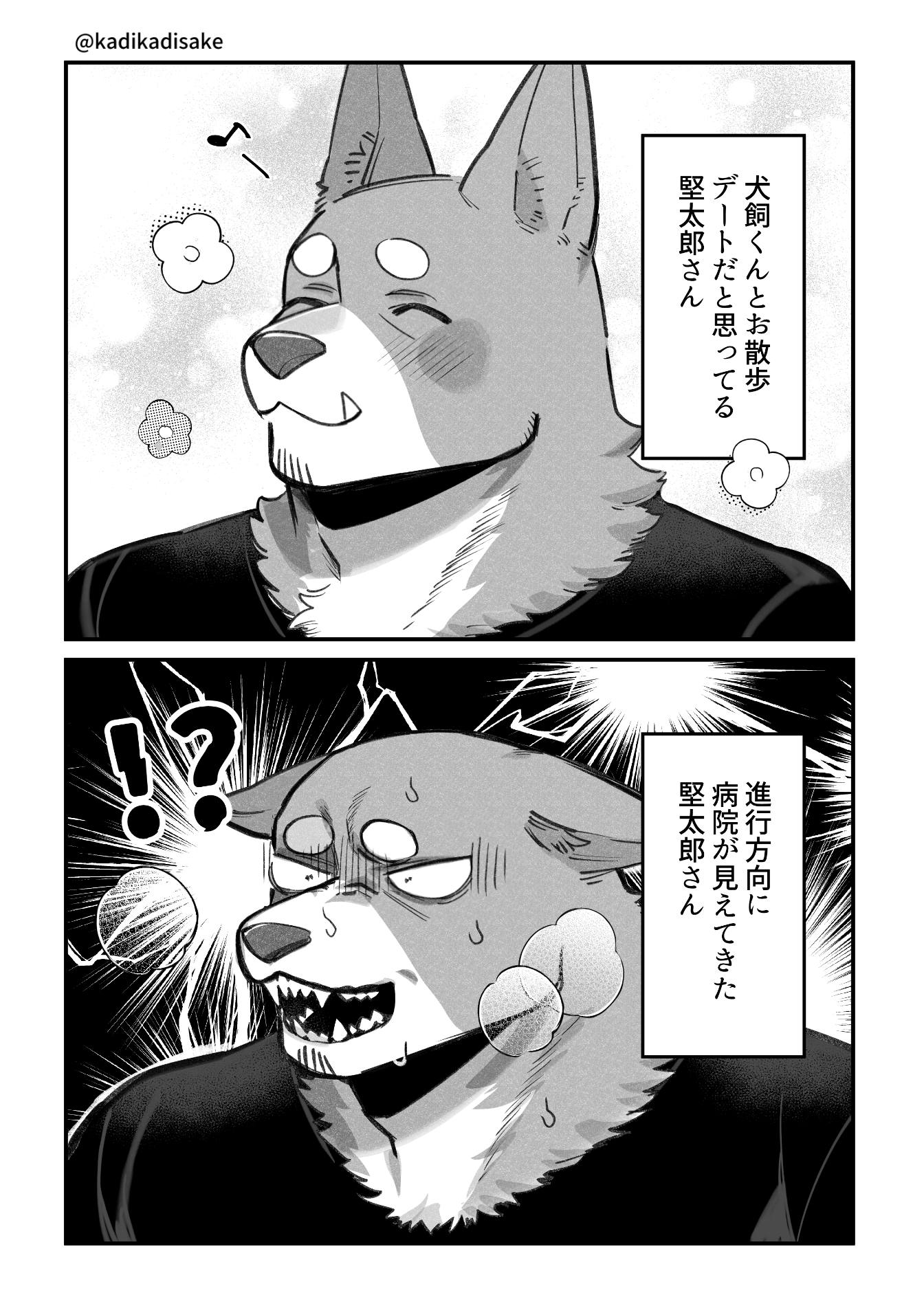 カヂロ/𝙠𝙖𝙙𝙞𝙧𝙤🐶 on X: 