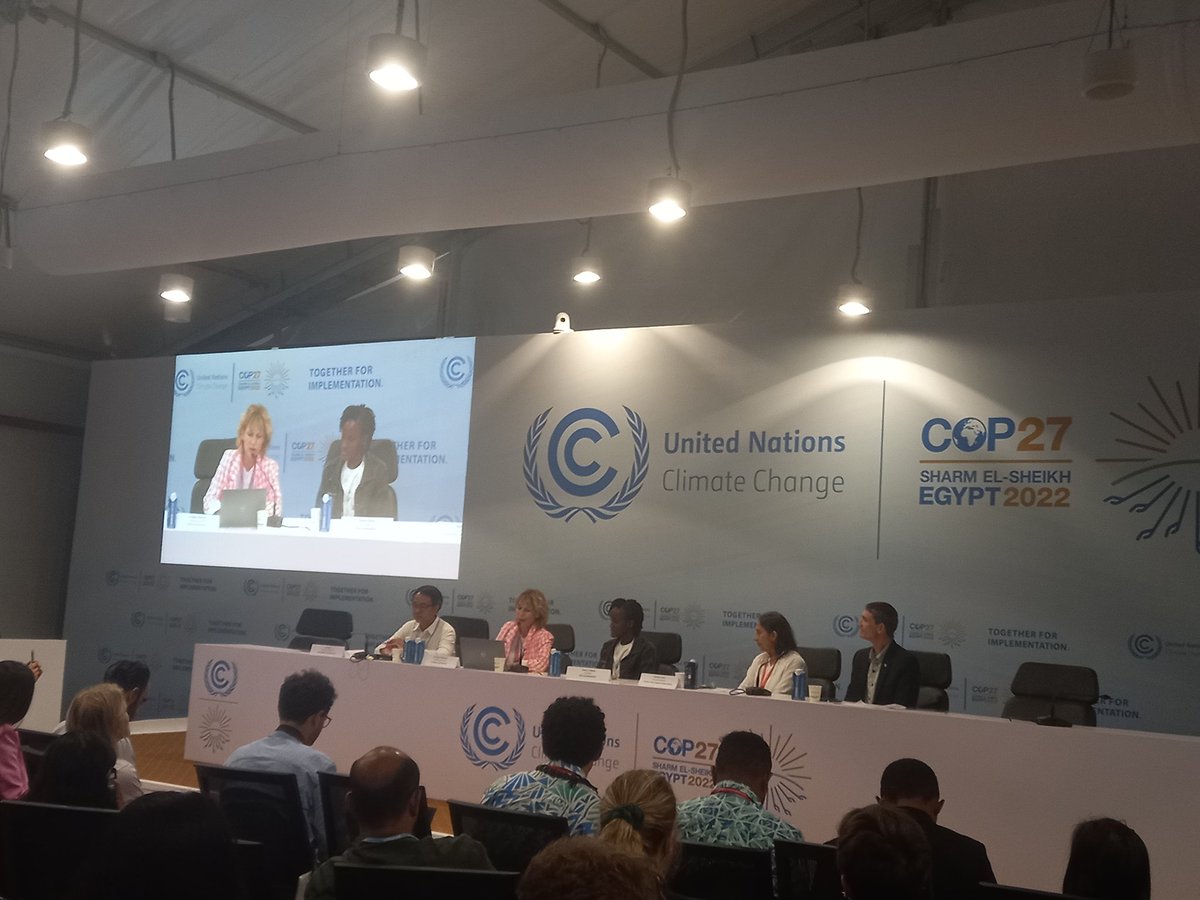 "We need international law to adopt to this world in turmoil. We need practical ways for international accountability and responsibility for past actions. We need respect of the right to healthy environment. This is why the #ICJAO is important" <a href="/AgnesCallamard/">Agnes Callamard</a> #COP27