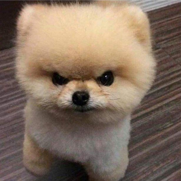😠