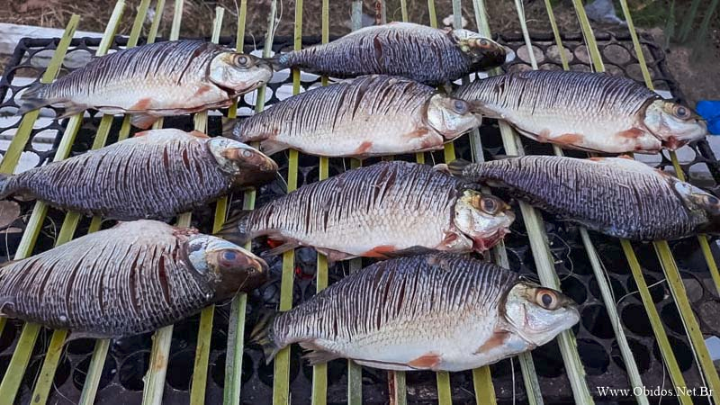 Luke Parry (@_lukeparry) on Twitter photo Check our new paper: Urban Amazonians use Fishing as a Strategy for Coping with Food Insecurity. In <a href="/JDevStudies/">Journal of Development Studies (JDS)</a> led by Sergio Rivero. tandfonline.com/doi/full/10.10… 🧵1/6 Check our new paper: Urban Amazonians use Fishing as a Strategy for Coping with Food Insecurity. In <a href="/JDevStudies/">Journal of Development Studies (JDS)</a> led by Sergio Rivero. tandfonline.com/doi/full/10.10… 🧵1/6