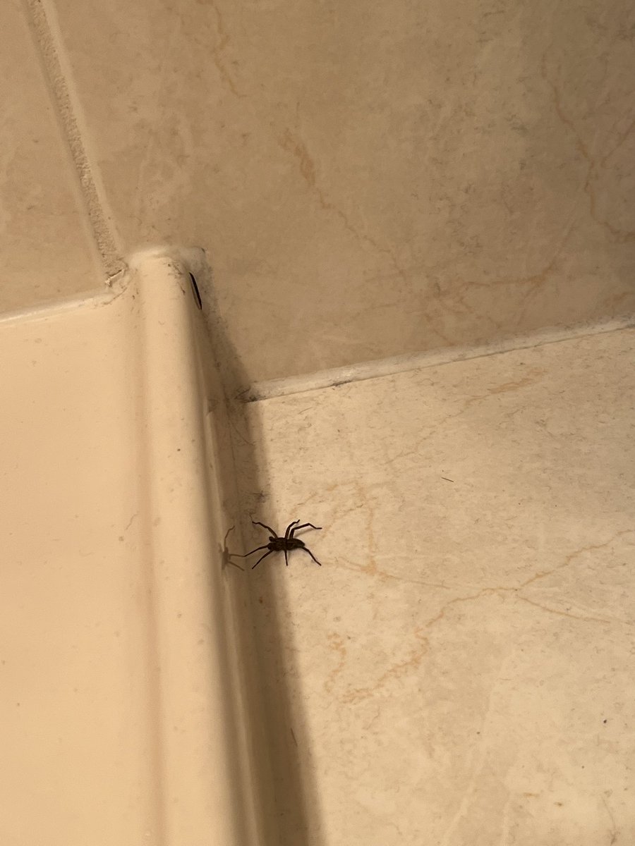 just landed, guess im home.
please let me shower