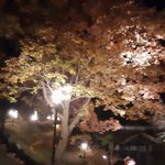 ツイートに含まれる画像