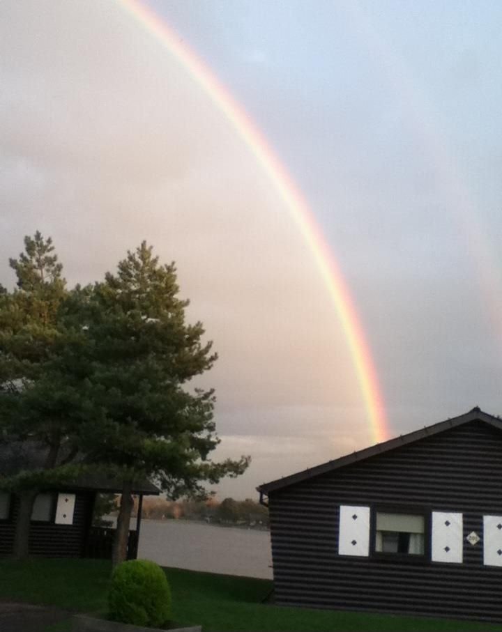 Amir Casey🦆💧🐝 tweet media