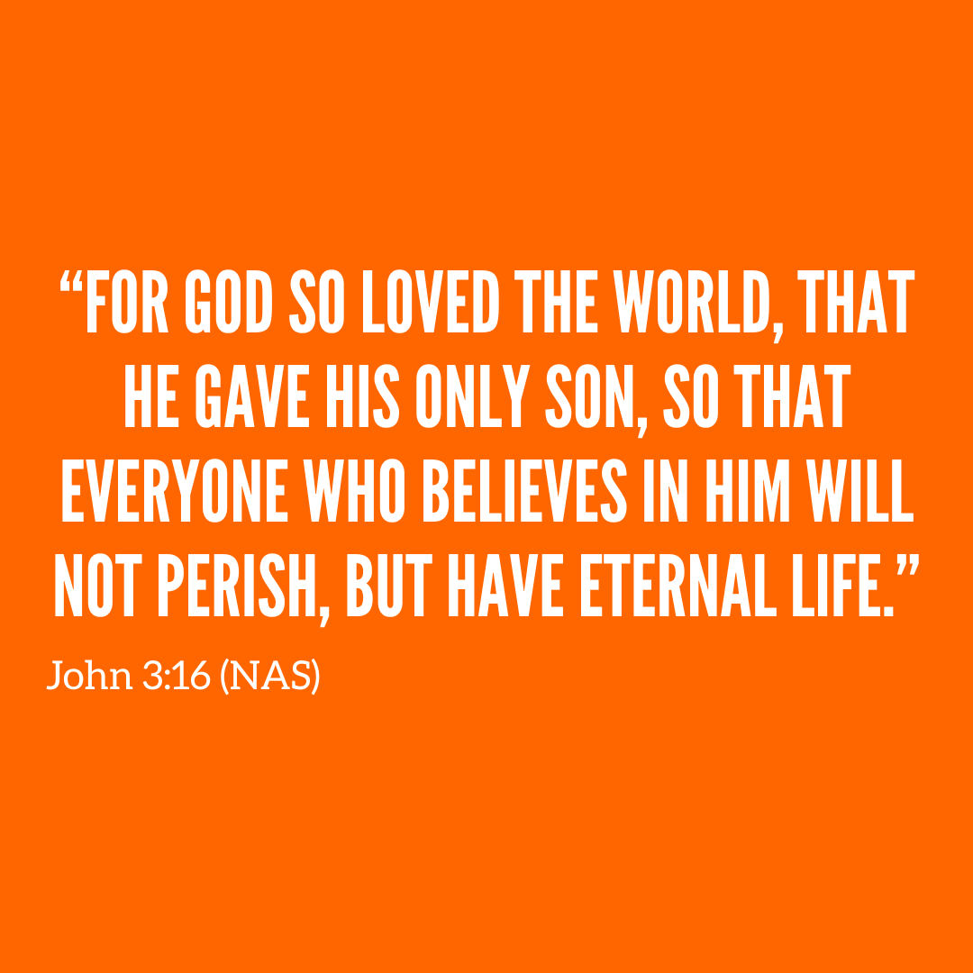 Vineyard N. Phoenix tweet media