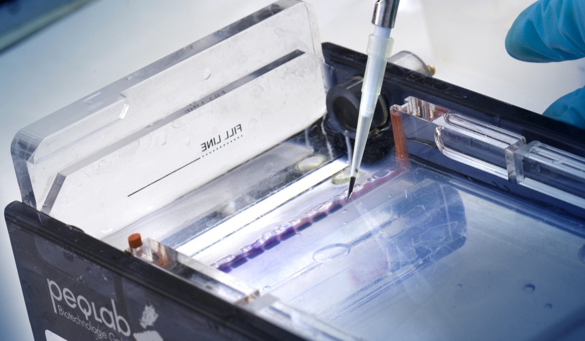 Senckenberg's tweet photo. Heute ist #WelttagderWissenschaft! 🔬🧬 Entdecke unsere vielen Forschungsbereiche, unsere Projekte, unsere Sammlungen 👉 https://t.co/yFY0PZLtZ7
#ScienceDay #WSDPD https://t.co/fbDZ7IxnkB