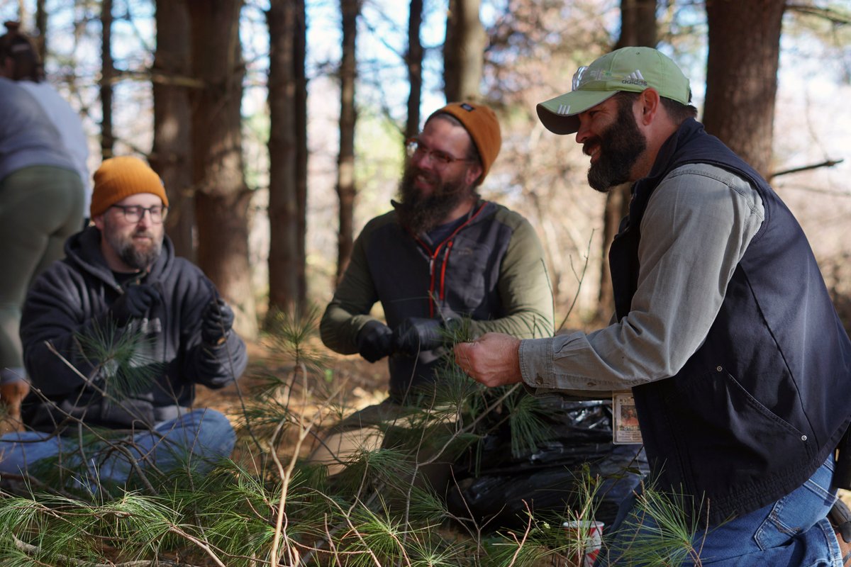 nocterrabrewing's tweet photo. Yesterday, we met at @DawesArboretum to pick needles for Tree Well White Pine IPA. Blessed w/beautiful weather &amp; plenty of friendly faces. We picked 60 lbs of fresh pine needles that we will use to make our largest batch of Tree Well ever! Available 1st week of December. https://t.co/E7l0FOTWnG
