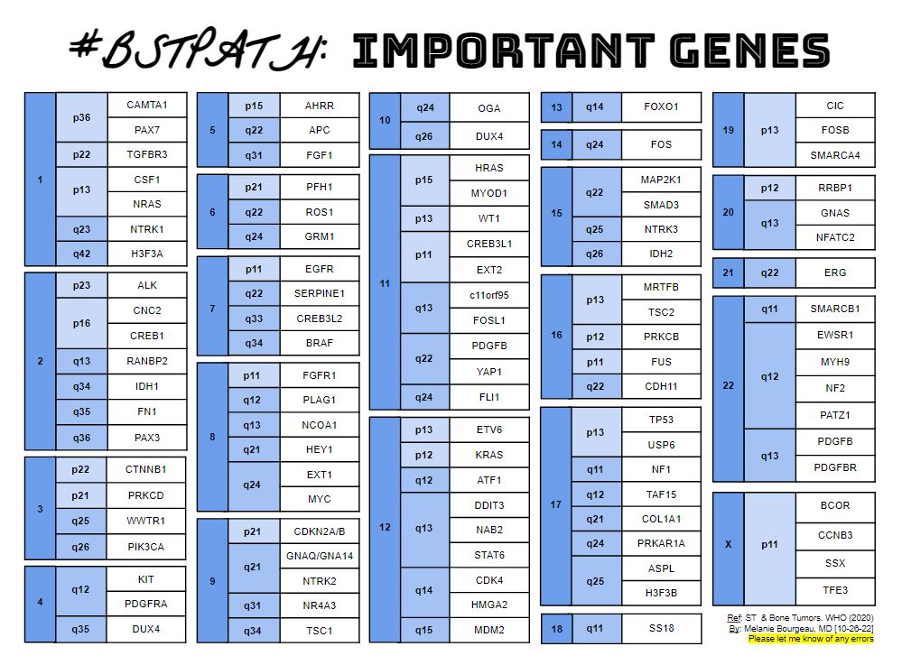 Melanie Bourgeau, MD tweet media