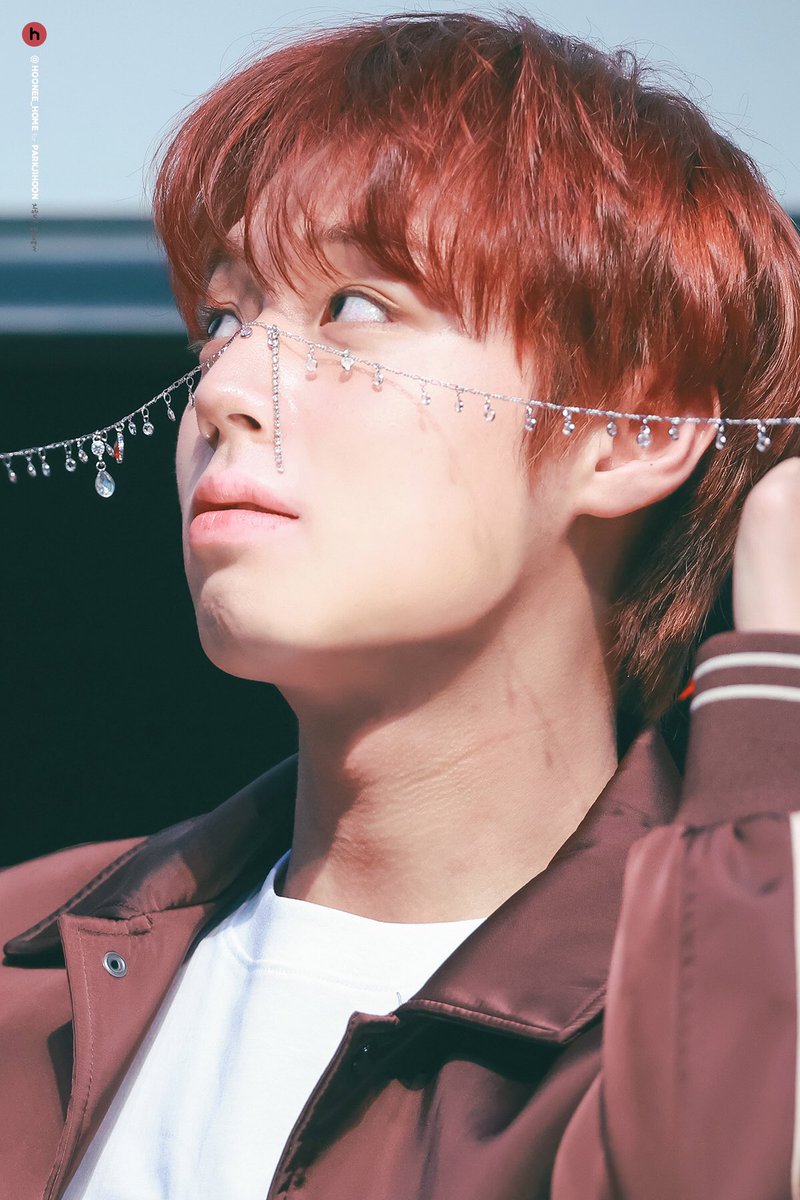 후니네집 tweet media