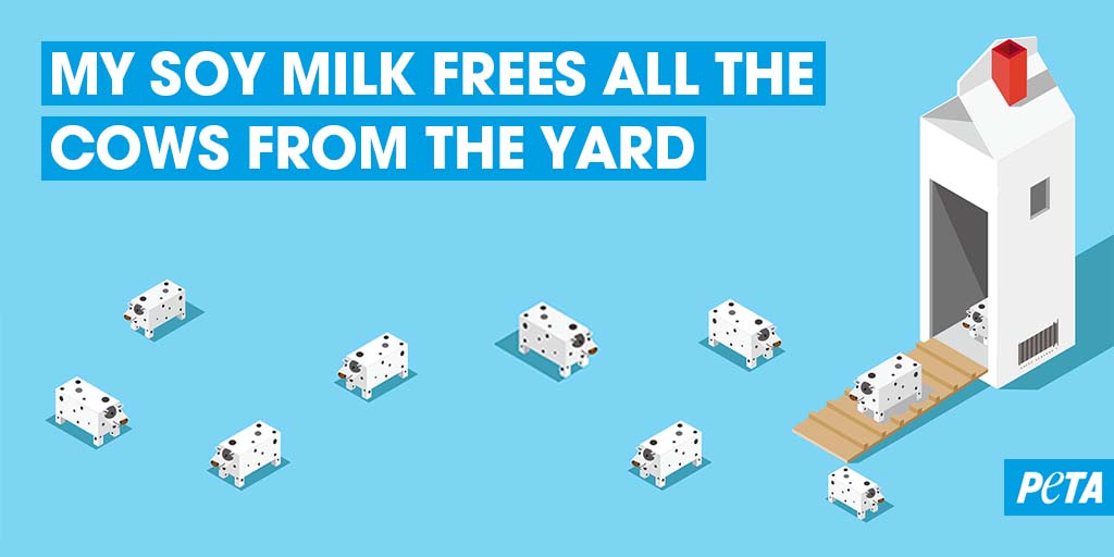 PETADeutschland's tweet photo. Und die #Milch, die ihr trinkt, so? 🙃😋 #NotYourMom https://t.co/4Qh7pN7Z5z