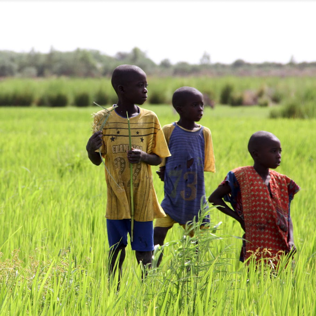 Why do communities in fragile and conflict-affected areas receive less funding for climate issues than their more stable counterparts? As world leaders gather at the #COP27 climate conference, RT to help amplify calls for climate justice now.