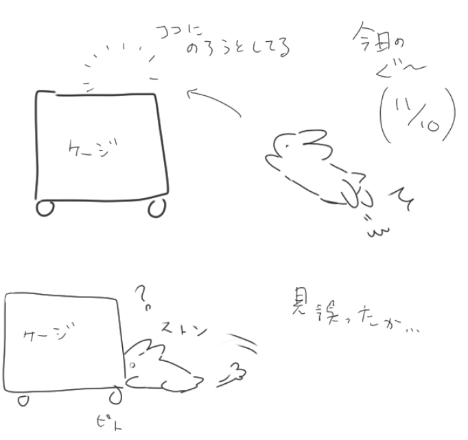 今日の ぐ〜 