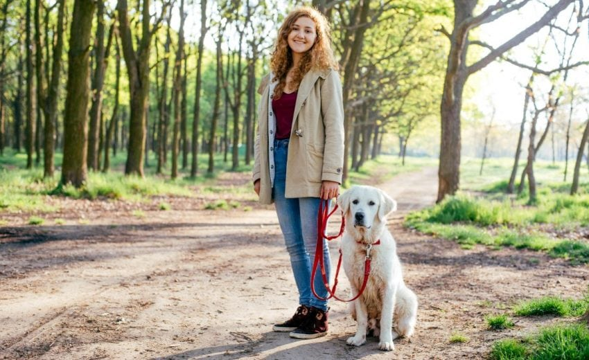 trustytailsdog's tweet photo. Pet Care Jobs
Find a great job that fits what you're looking for.

New jobs posted every minute - search for free. https://t.co/iNbKOfM4Mr