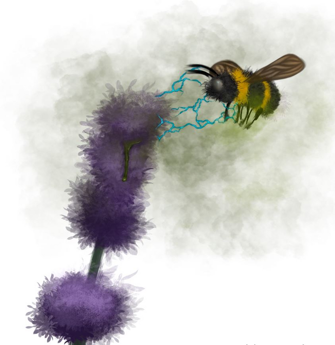 EllardHunting's tweet image. Agrochemicals change how bees &apos;see&apos;⚡️flowers!  academic.oup.com/pnasnexus/arti…