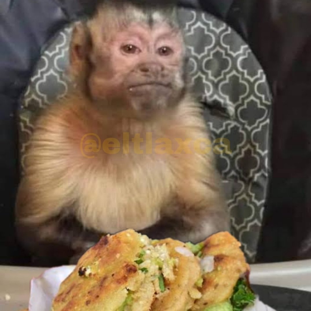 Yo en la feria de Tlaxcala viendo a mis ex pasar con sus nuevas parejas mientras yo a lo único que fui fue a tragar.