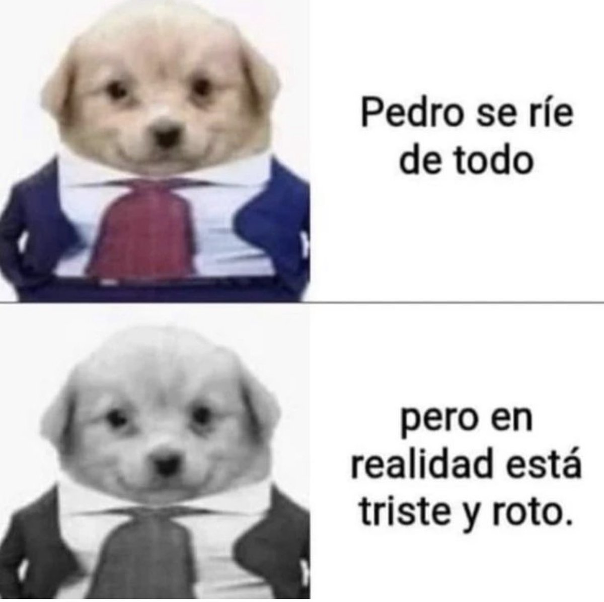 Renezzbro's tweet photo. Todos somos Pedro https://t.co/DOkBuobcfp