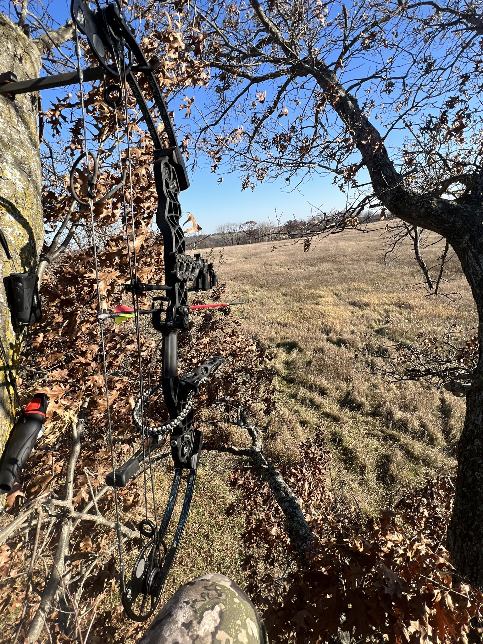 Scott Mathieson マシソン (@mathieson_scott) / Twitter