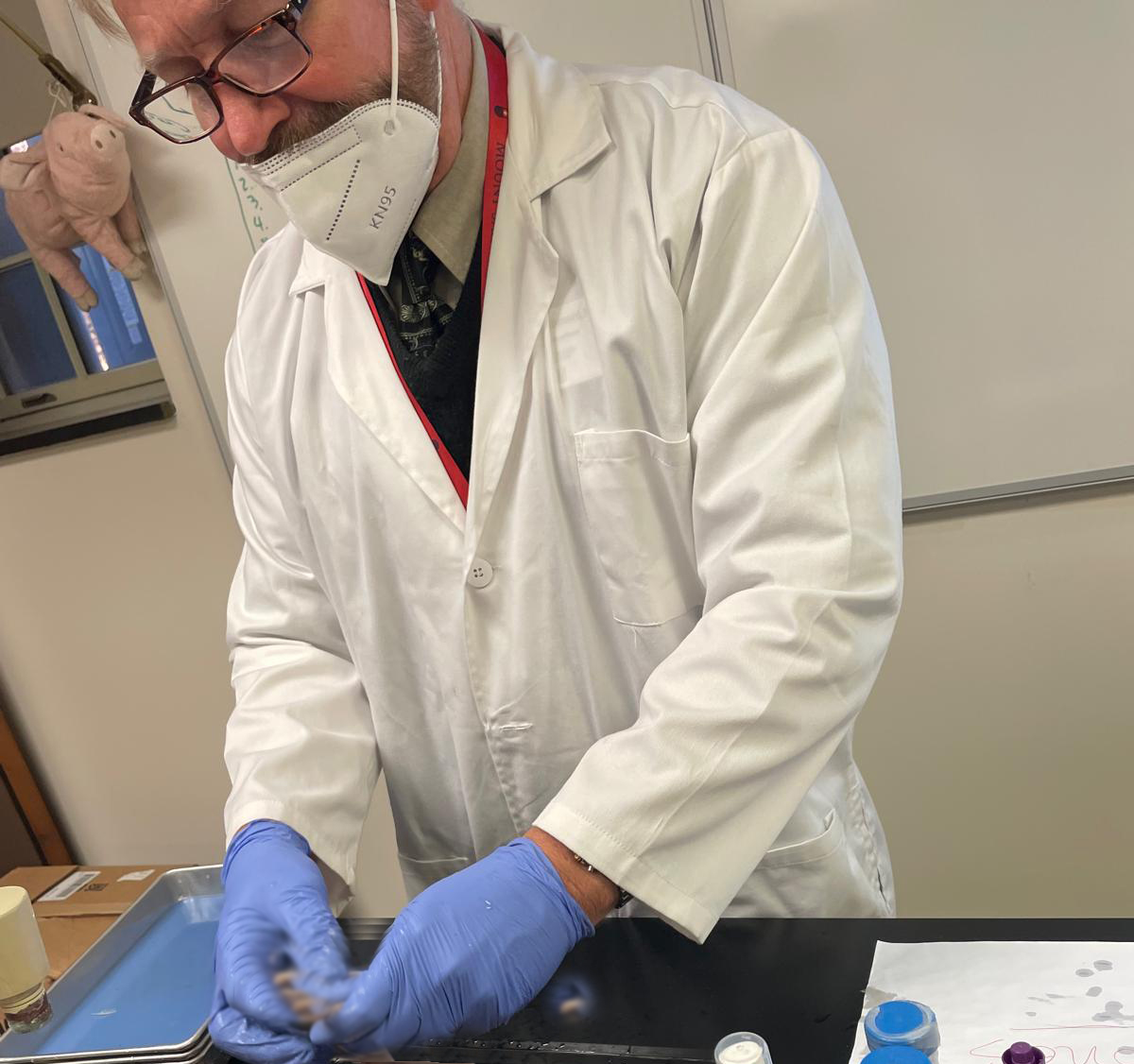 Members of our Future Medical Professions Club continued a dissection yesterday afternoon in the lab.
#mountsaintmaryacademy #TheMount #MountScience