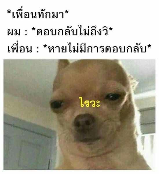 อย่าทำแบบนี้ได้มั้ยถ้ามึงไม่แคร์ 5555555