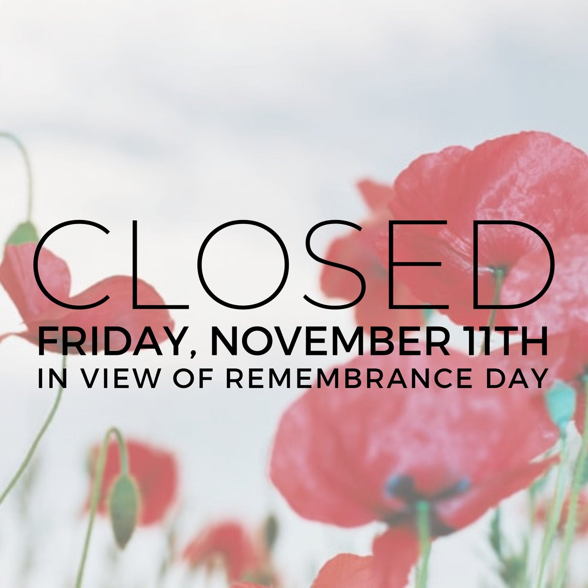 MasterworksMOBA's tweet photo. The Masterworks Museum will be closed tomorrow, November 11th in view of Remembrance Day. We look forward to welcoming our Members on Saturday for a special preview of the Alfred Birdsey Retrospective. Birdsey: Stories and Sentiments opens to the public on Monday, November 14th. https://t.co/LSXg9OnPfT