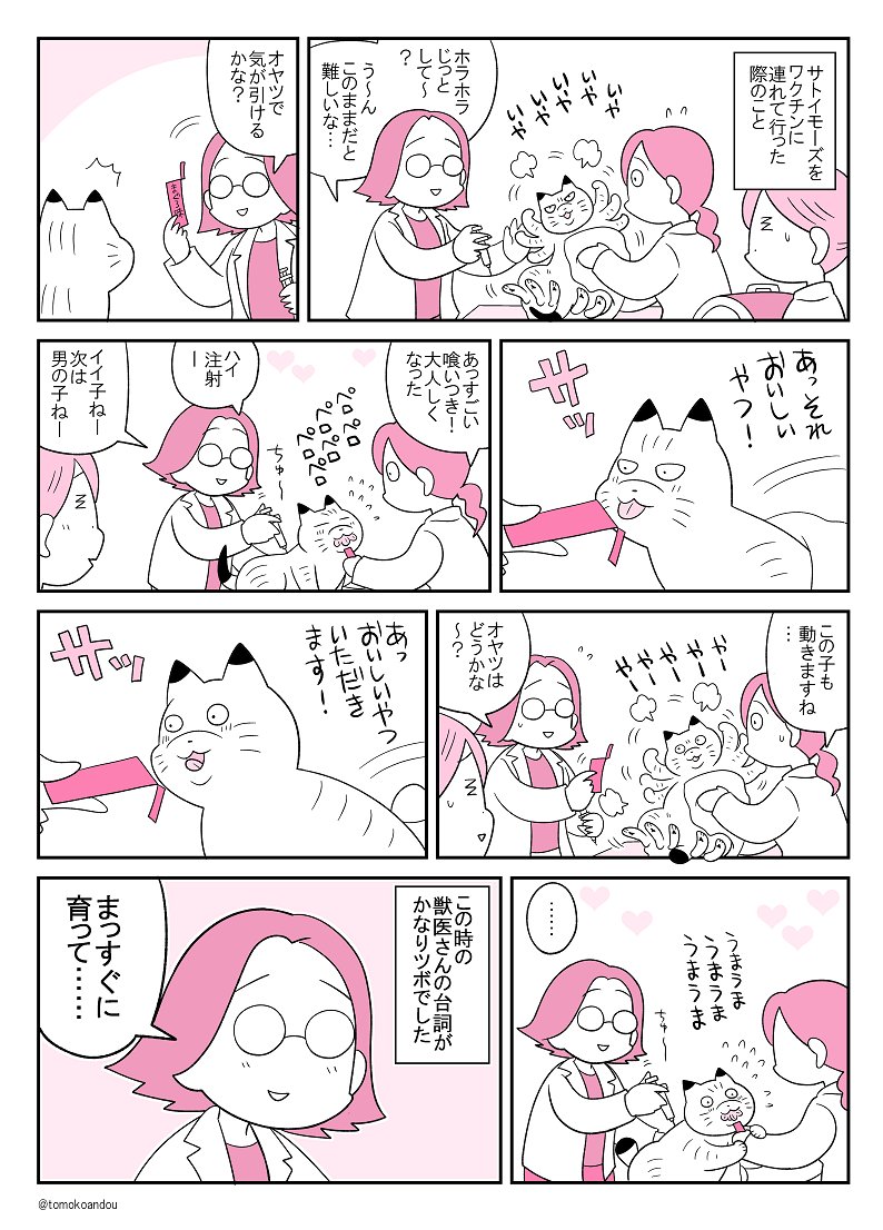 イモズ(猫)ネタ発掘 