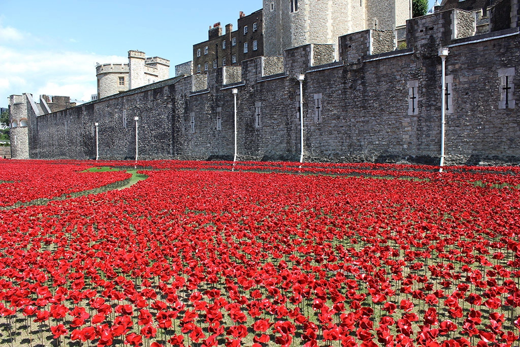 Lest we forget. #RemembranceDay