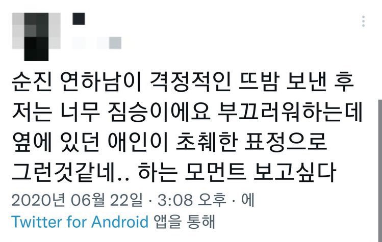 # 이거평옻
🐶형 저는 너무 짐승이에요...ㅜㅜ
🐱어 그런것같다...
다갈라지는 목소리로 대답하는 연상 제법 초췌해보임 연상 몰골보고 평연하 꺄악 놀라서 하루종일 수발들기