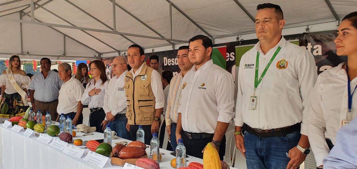fedecacao's tweet image. #AEstaHora desde el municipio de Rionegro (Santander), evento de entrega de insumos del proyecto para el incremento de la productividad del cultivo de cacao, entre @GobdeSantander @UNODCROCOL y @fedecacao